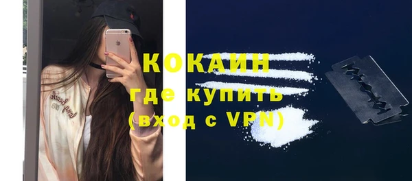 хмурый Белокуриха