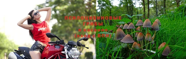 герыч Богородск