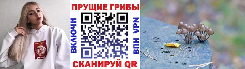Галлюциногенные грибы Magic Shrooms Кондопога